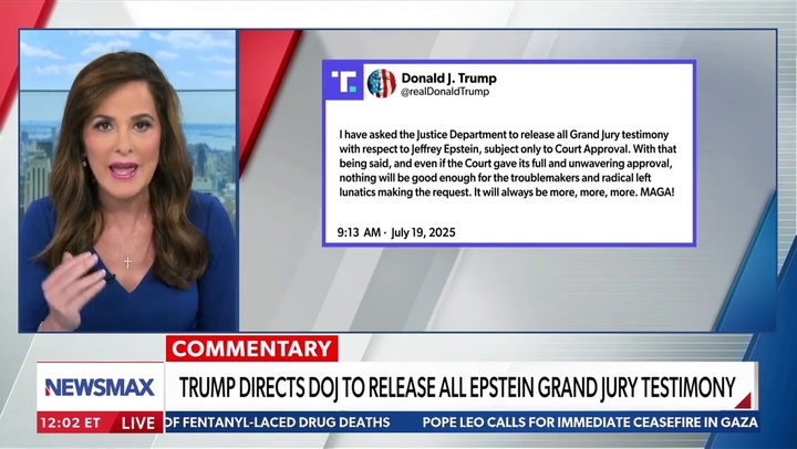 Alan Dershowitz also said the convicted sex trafficker should be granted immunity to speak about her relationship with Epstein.
