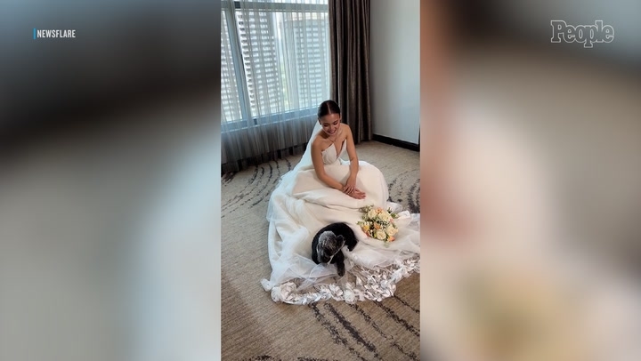 Senior Pet Dog Curls Up and Falls Asleep on Bride's Wedding Dress to Say ‘Goodbye' as She Prepares to Live with Husband