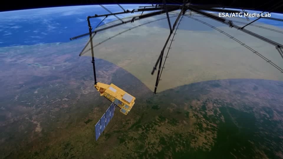 Space probe to assess health of forests from Earth's orbit