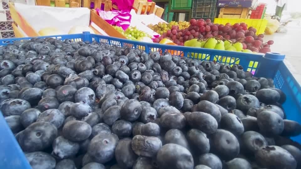 Peru, the US's top blueberry supplier, looks to China as tariffs hit