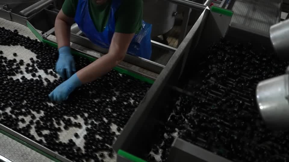 How Spanish olive exporters survived Trump tariffs since 2017