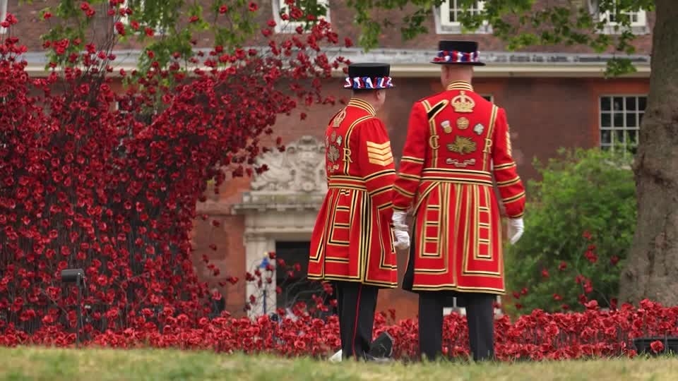 Blood-red ceramic poppies 'flow across' Tower of London for VE Day
