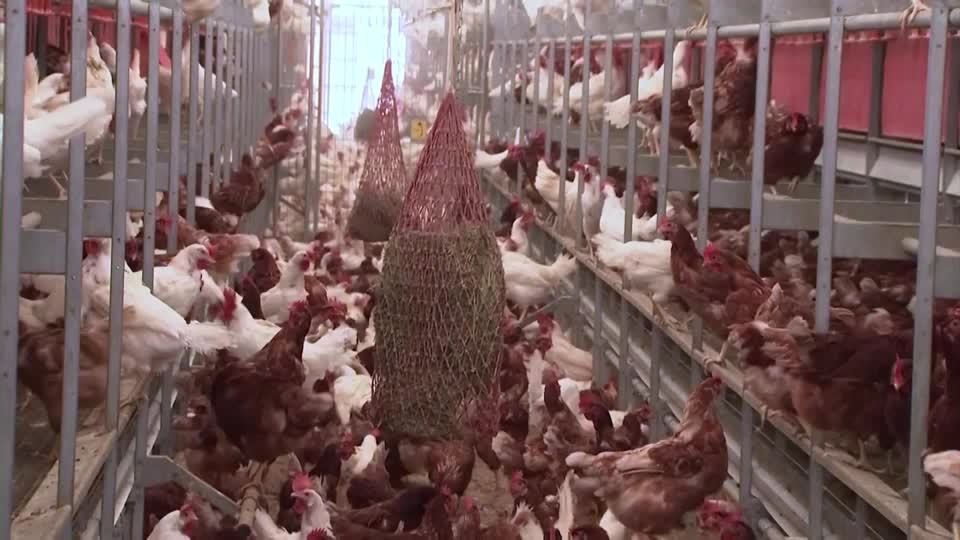 US cancels over $700 mln funding for Moderna bird flu vaccine