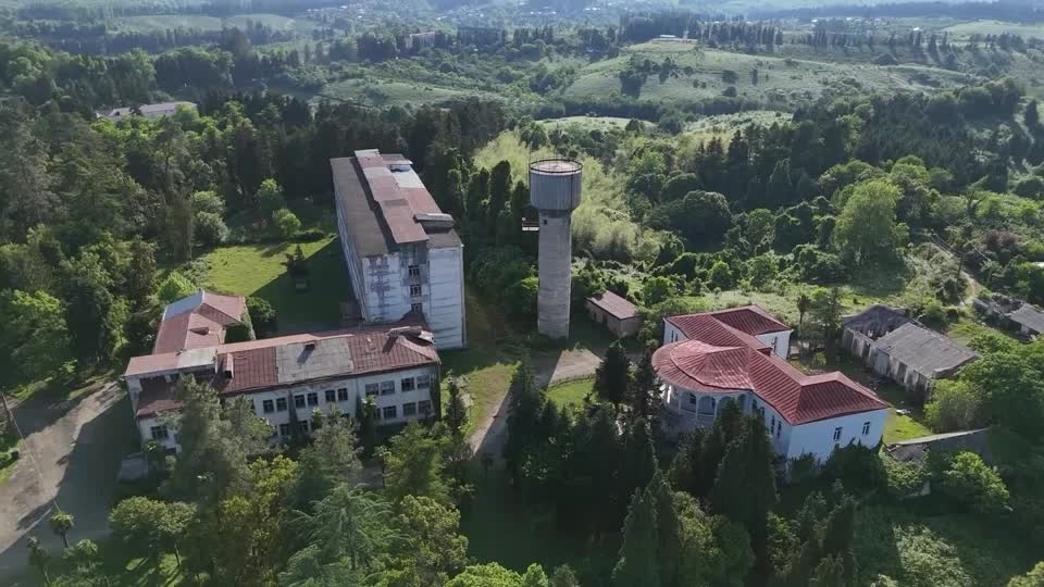 Georgia's tea growers working to revive a Soviet-era industry