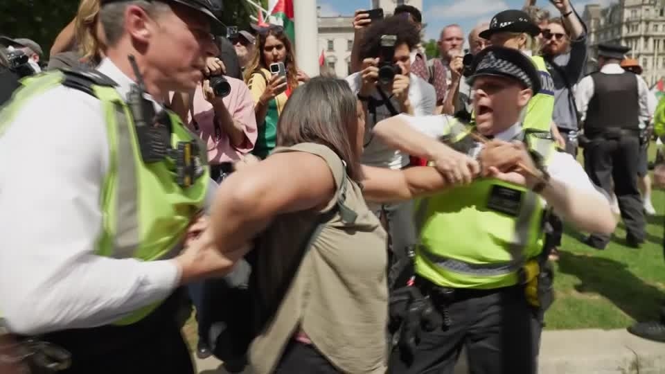 Hundreds arrested at London protest for banned Palestine Action group