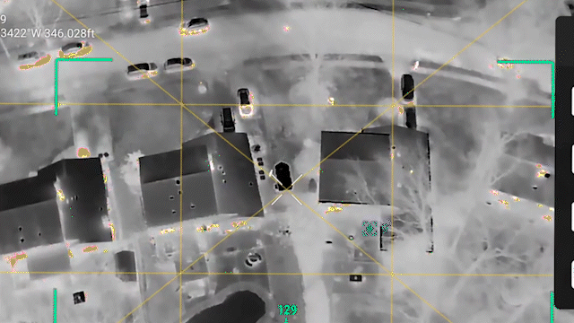 'Truly Cinematic' Moment Lost Dog is Found by Veteran Drone Team in Just 41 Minutes