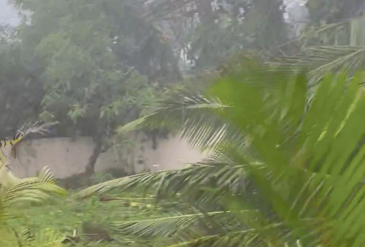 'Spectacle of Desolation': Cyclone Garance Leaves Trail of Damage on Reunion Island