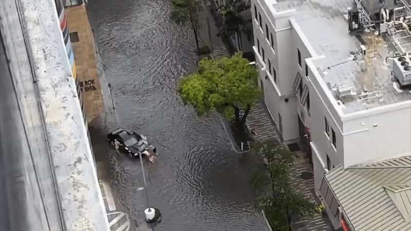 ‘Literally Underwater': Miami Streets Flooded by Heavy Rains