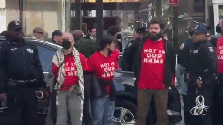 Protesters From Khalil Demonstration in Trump Tower Arrested