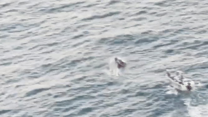 Chopper Captures Moment Fisherman Rescues Stranded Sailor off Queensland Coast