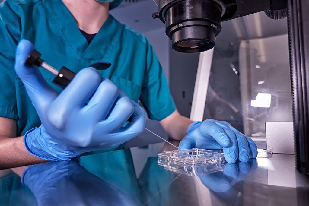Youngkin's signature sets stage for Virginia health insurance to cover IVF treatment in the future