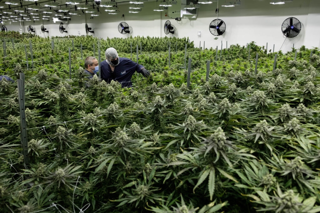 Cannabis sales bills clear Virginia legislature, face likely Youngkin veto