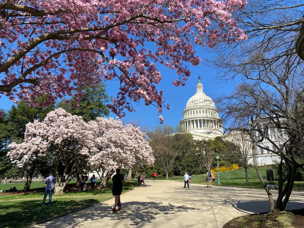 Va. lawmaker's federal PEER Support Act aims to bolster recovery specialists