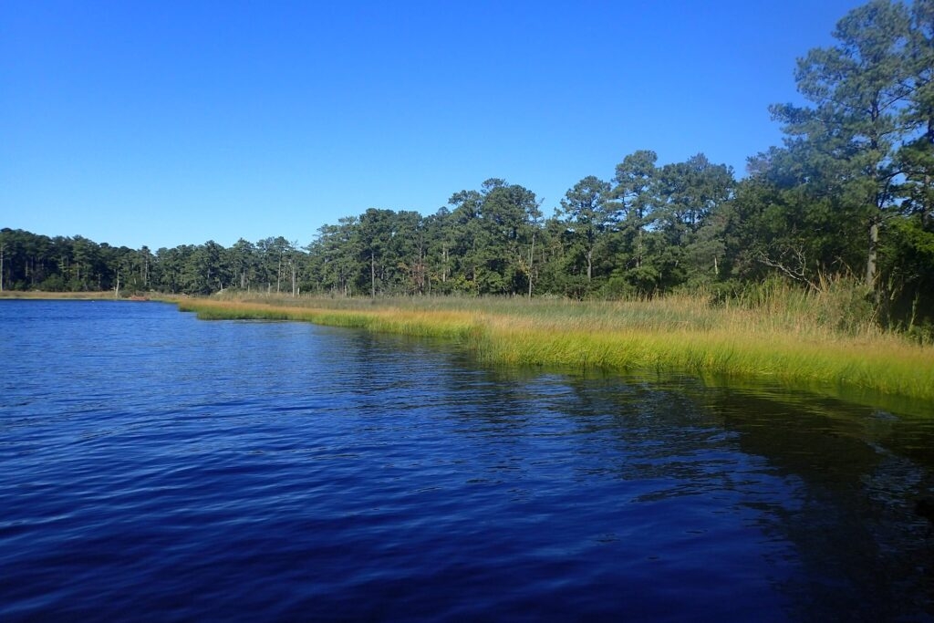 Environmental groups slam federal plan to ship wetlands mitigation out of Hampton Roads