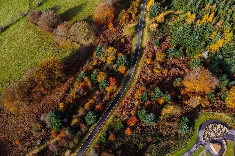 Beautiful forest has views like nowhere else in Wales but there's a catch