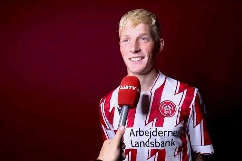 New Swansea City signing tipped for Premier League as fans told what to expect