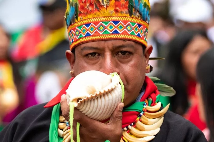 Shells could stop snoring condition 8million suffer from in UK