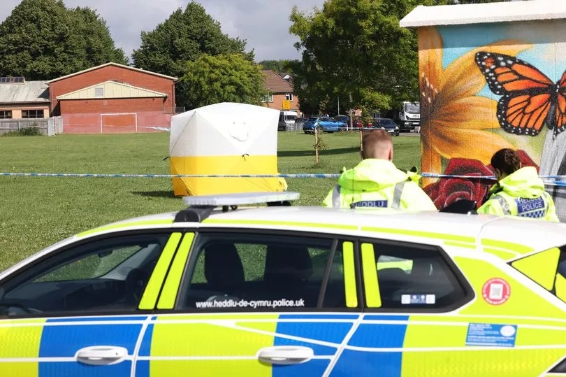 Second man charged with attempted murder in Cardiff park