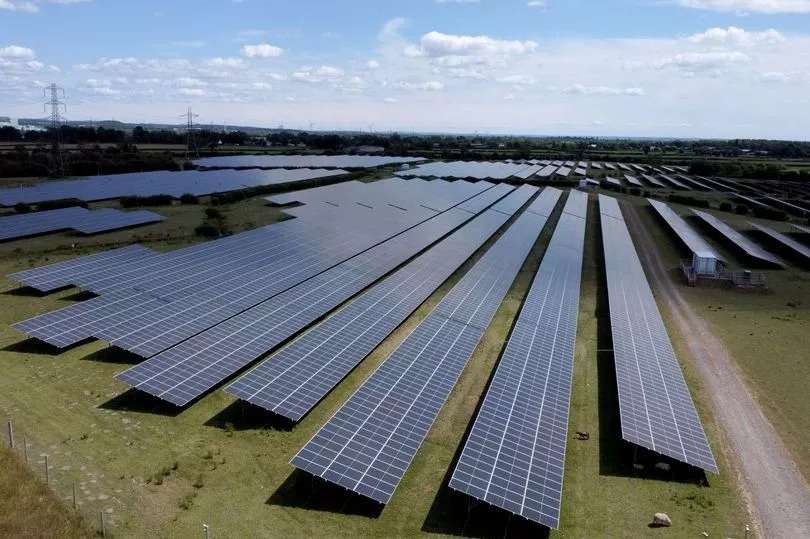 ‘Species could be wiped out' if new solar farm is built in Wales, planners told