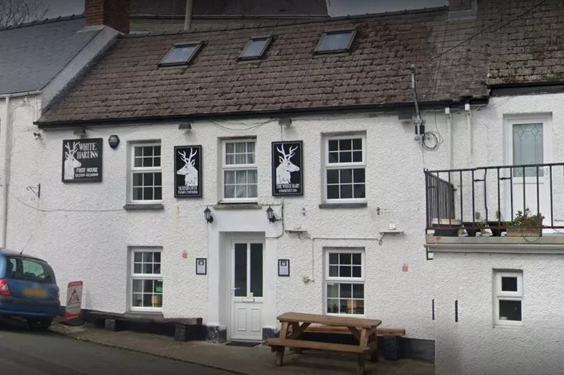 Welsh pub hailed one of the 'most friendly in Britain' looks to expand