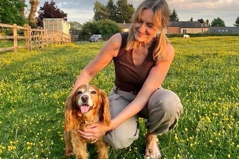 Dog owner convinced one sweet ingredient cured her pet's cancer