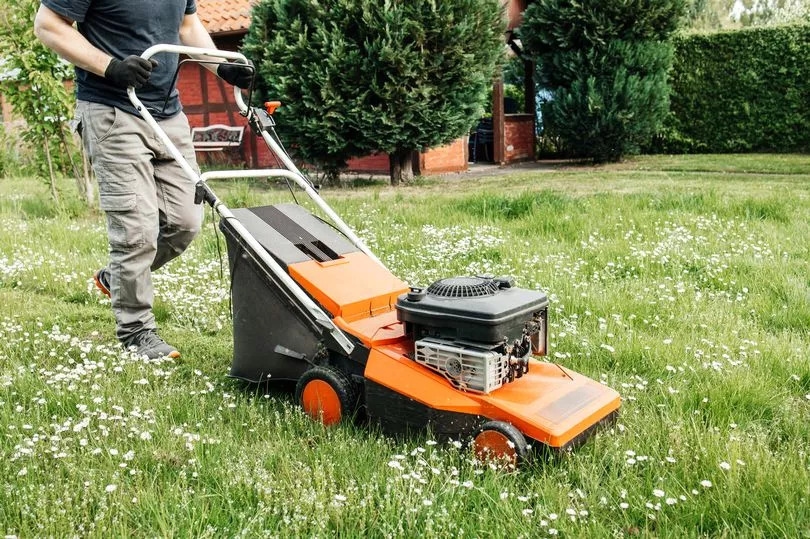 Welsh council extends 'No Mow May' to the entire summer and people are not impressed