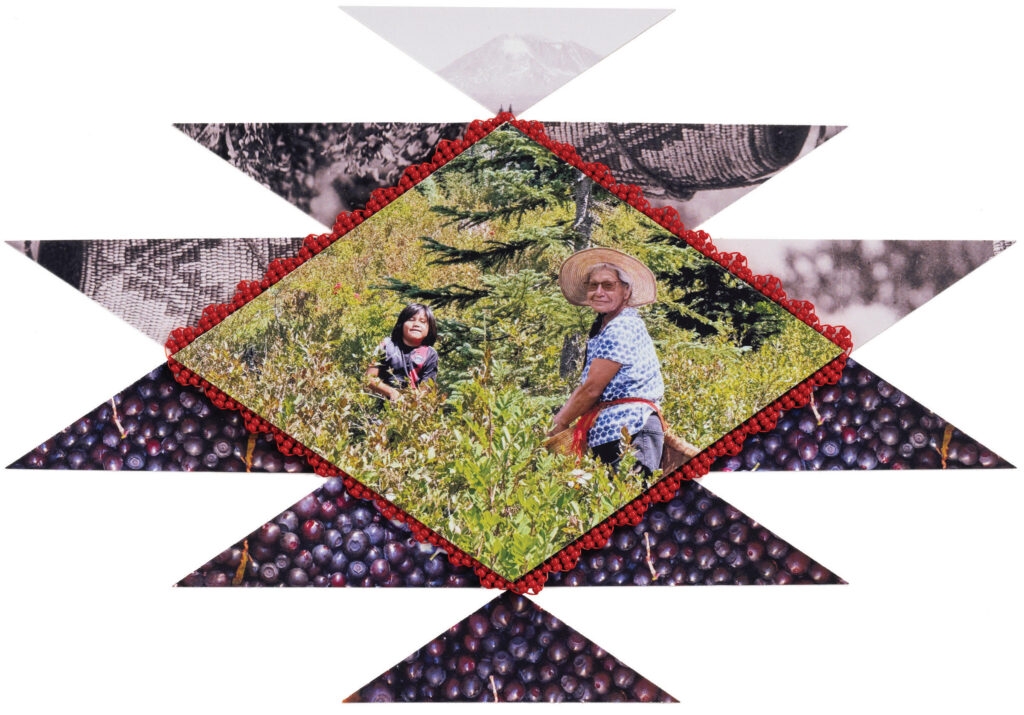 The true cost of the huckleberry industry