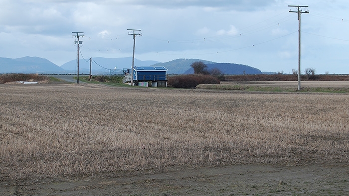 Skagit Delta tidegate repair awaits resolve of legal action