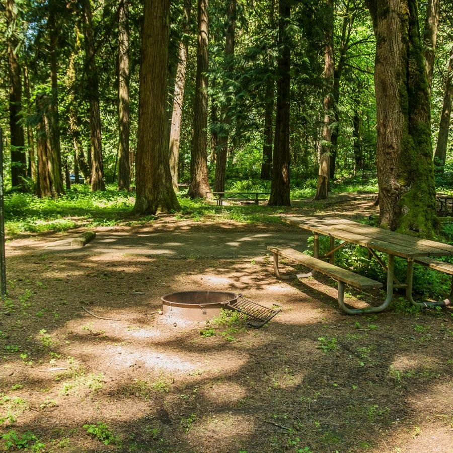 Washington may raise Discover Pass price to $45