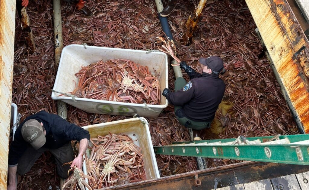 Alaska man sentenced to one year in prison over illegal transport of crab to Washington