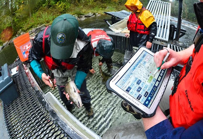 After fatal accidents, WA Fish and Wildlife workers press Ferguson on agency appointee