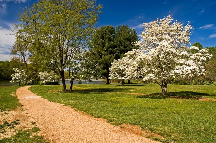 What should the future of Knoxville parks be? City seeks public input