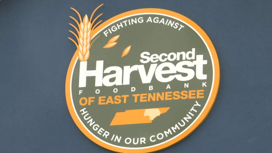 ‘Targeting the most vulnerable' Second Harvest Executive Director reacts to food distribution scam post