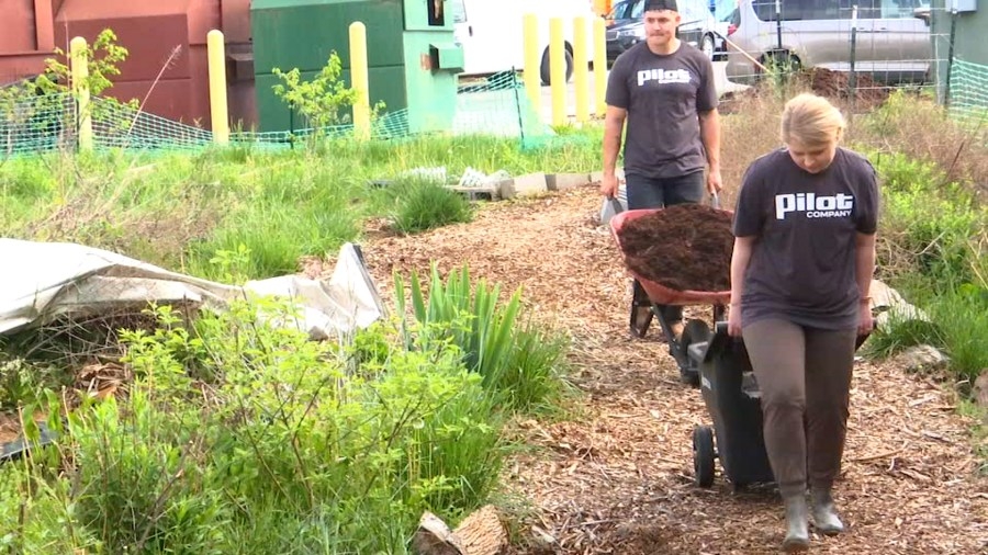 Pilot Company volunteers work in garden at Inskip Elementary School