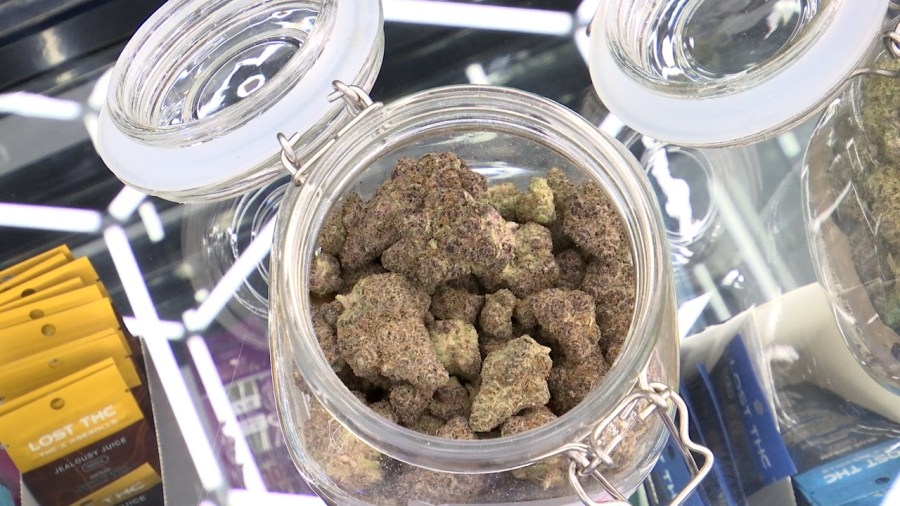 Tennessee hemp dispensaries brace for fallout of bill banning THCA products