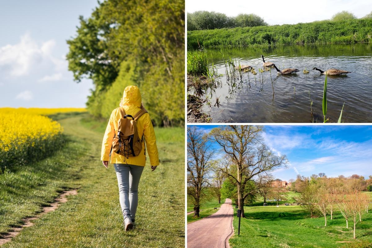 5 of the best spring walks in and around Watford – fancy some fresh air?