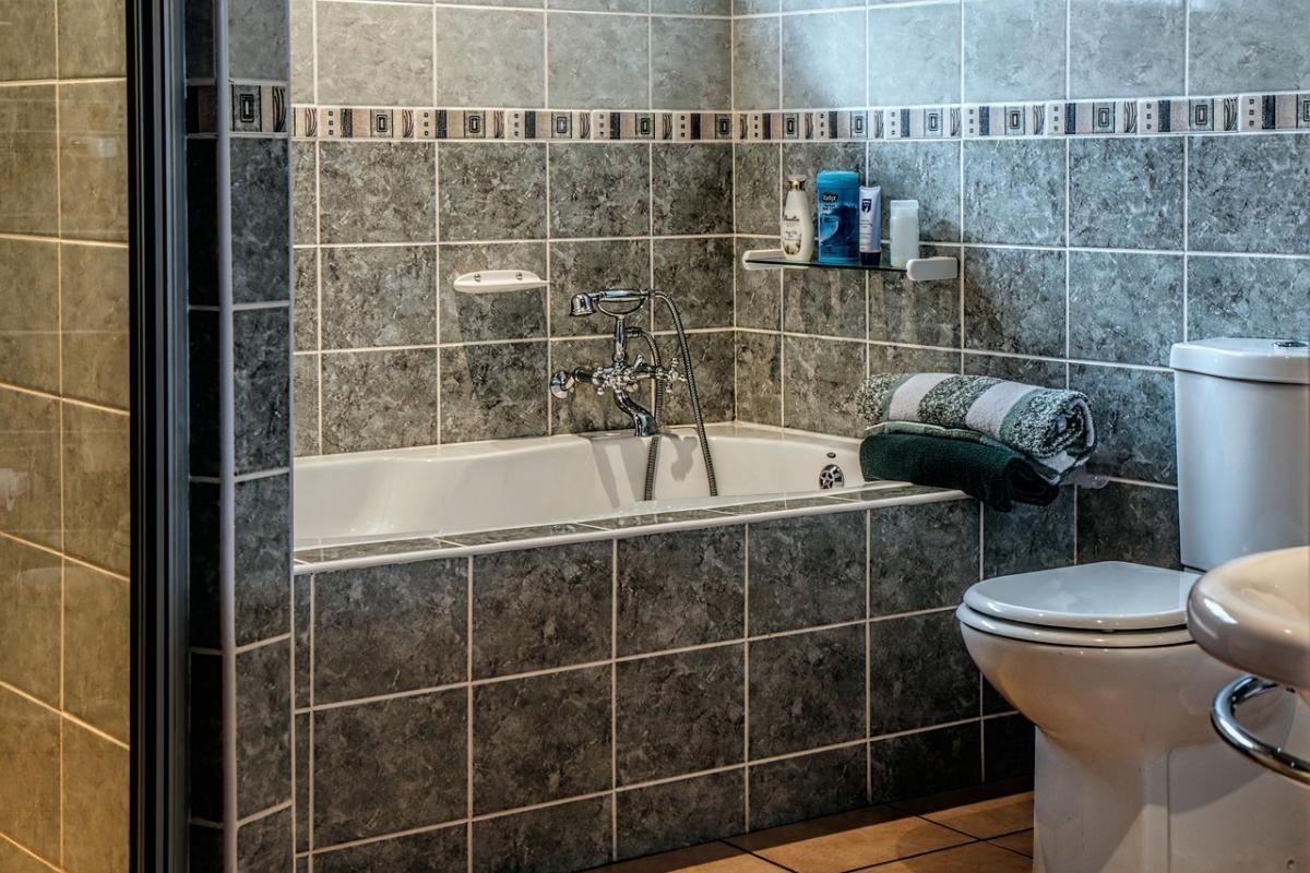 The murky yet fascinating world of the toilet