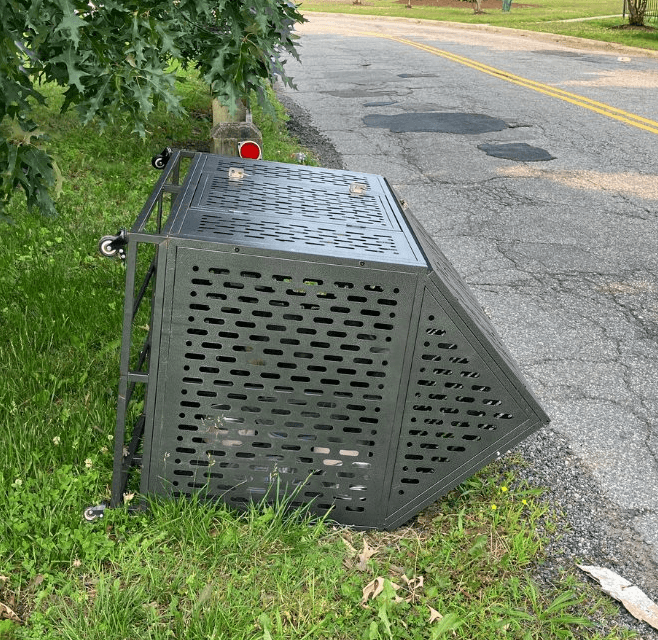 Dog found dead in cage, NPD searching for owner