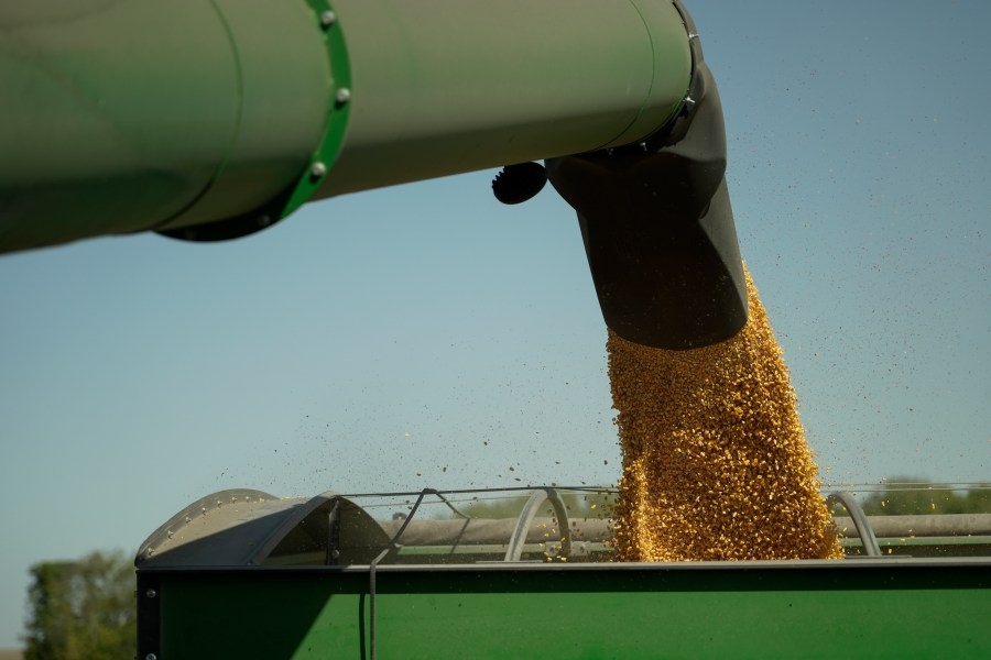 Portsmouth to become ‘international hub' for shipping of agriculture products, mayor says