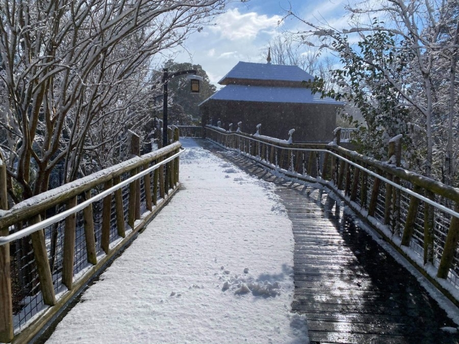Norfolk winter storm city information