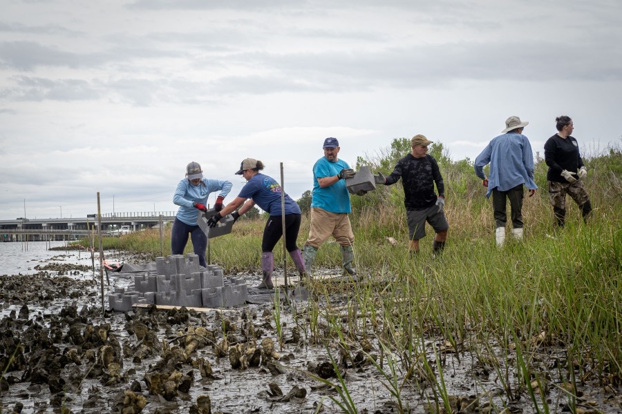 Chesapeake Bay Foundation washes away pollution with Hampton River restoration