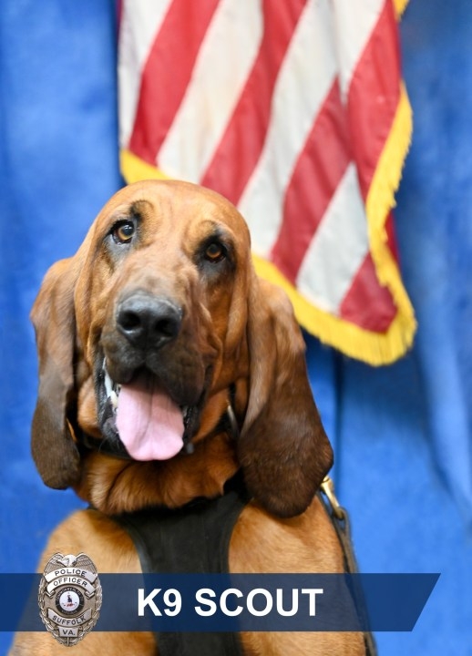 Suffolk Police Department mourns loss of K9 Scout