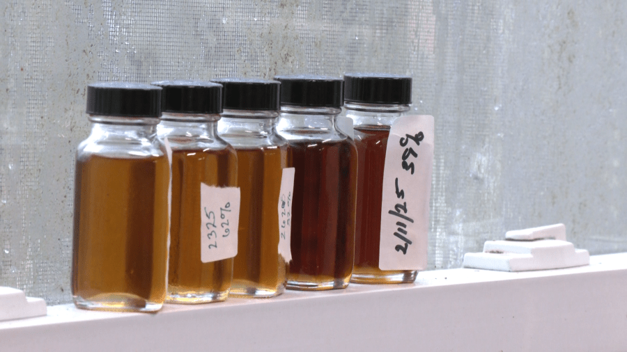 A colder winter brings hope for WV's maple farming
