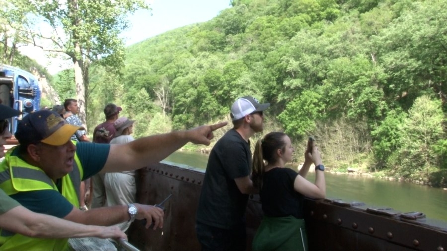 How you can spot bald eagles on the Potomac Eagle Scenic Railroad