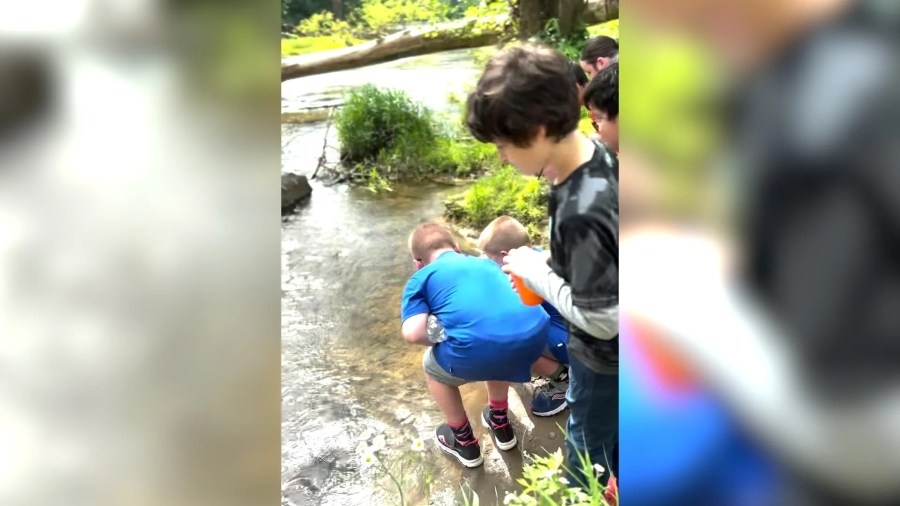 Elementary school students release trout in Mason-Dixon Historical Park