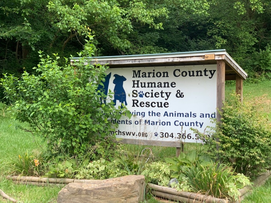 Marion County Humane Society launches Doggy Day Out Program