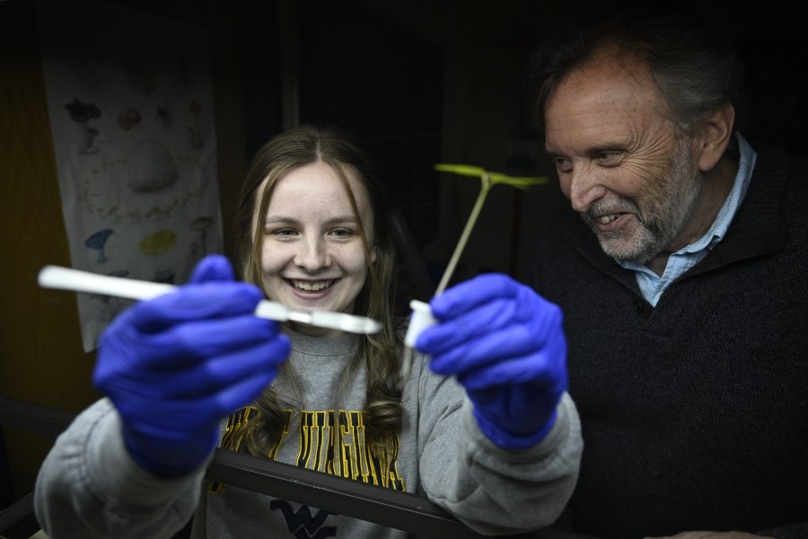 WVU student discovers psychedelic fungus that could be used to treat addition, depression