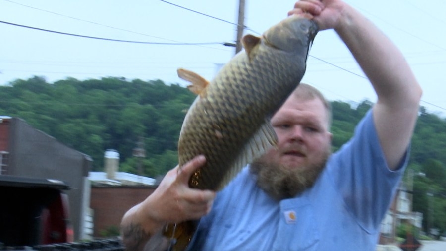 City of Weston holds Carp Fishing Tournament