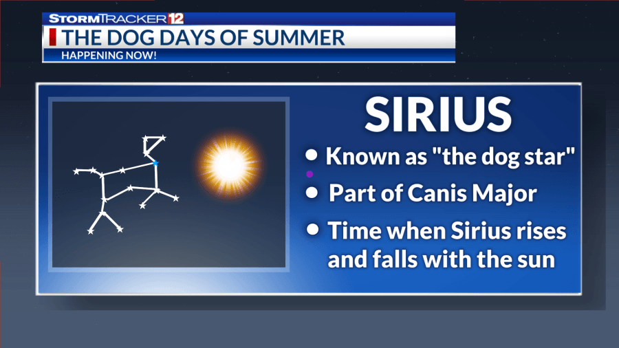 What are the ‘dog days of summer?' Meteorologist explains