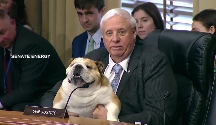 Testimony from Babydog at Dept. of Energy hearing ‘admitted to record without objection'
